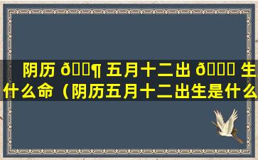 阴历 🐶 五月十二出 🐞 生是什么命（阴历五月十二出生是什么命2023年）